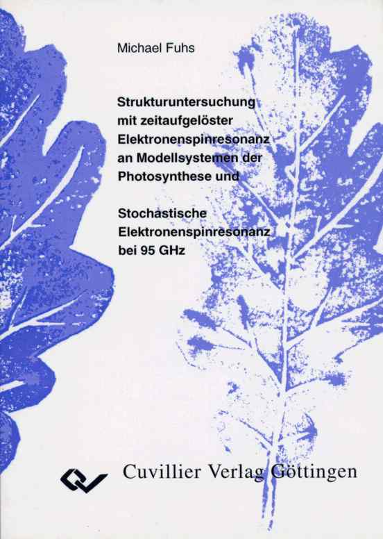 Titelseite Dissertation Michael Fuhs